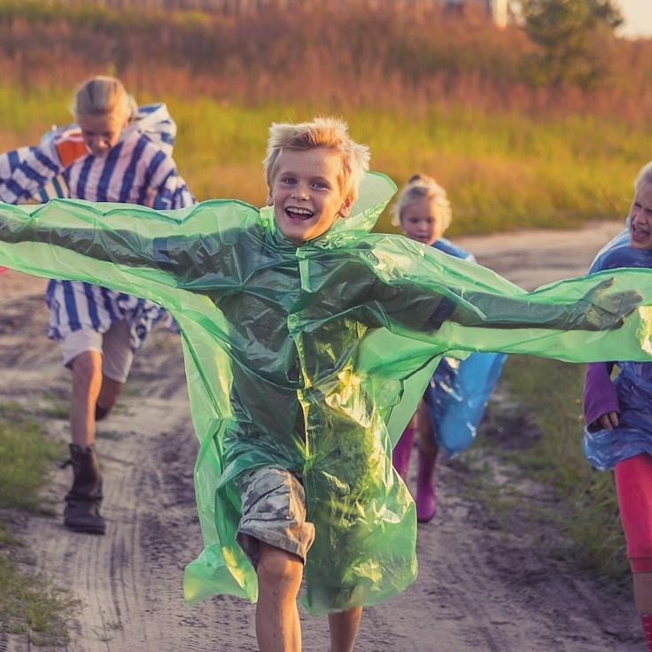 Landscape day trip near Rotterdam, Netherlands
